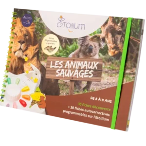 Livret Les animaux sauvage